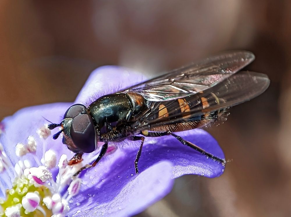 Photograph by Лора