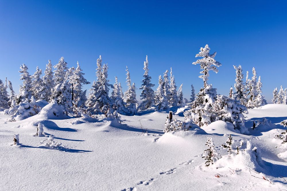 Photograph by Вараксин Николай