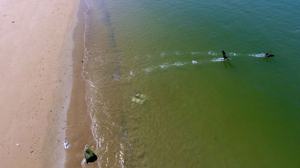 Photograph by Javad Tafti Farashah