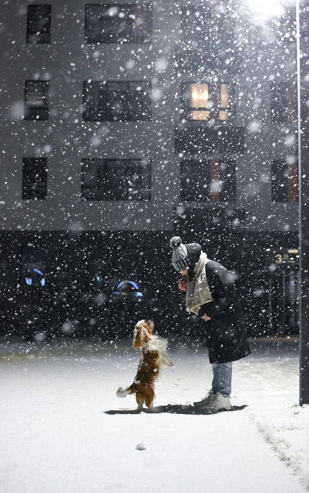 Photograph by Анна Захаркова