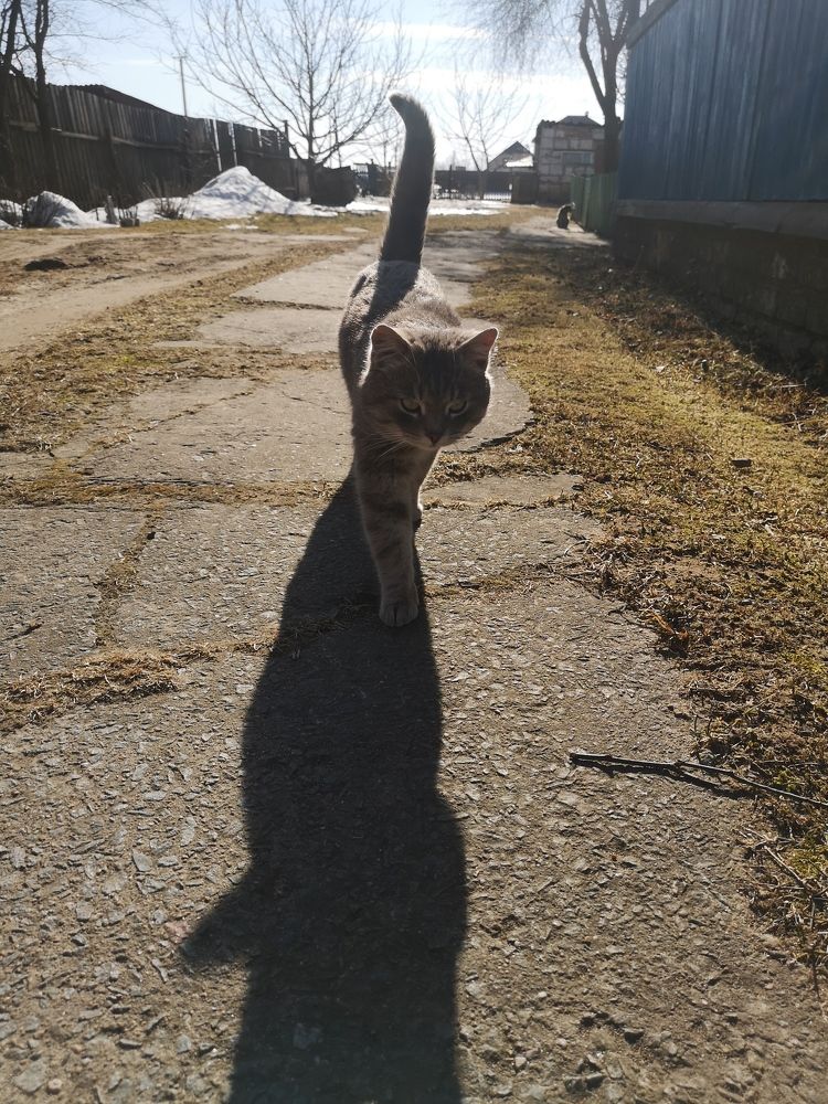 Photograph by Екатерина Борисовна Кузьмина