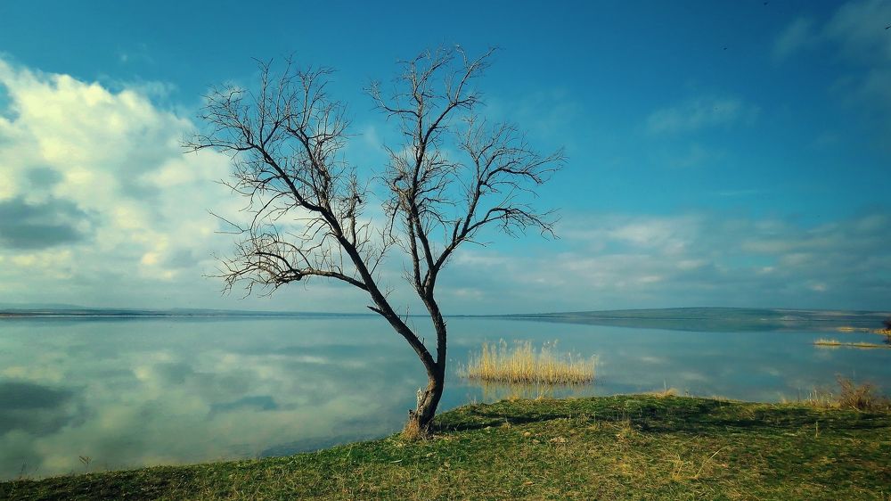 Photograph by Геннадий Натье (Игнатьев)