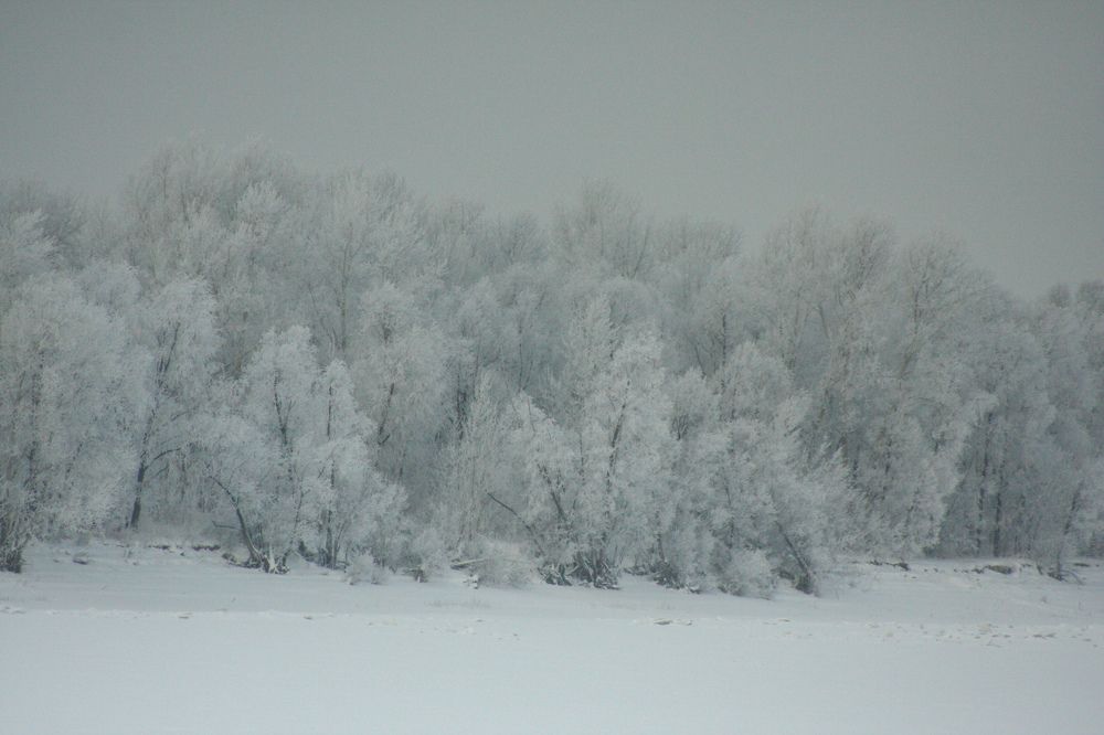 Photograph by Свалова Наталья