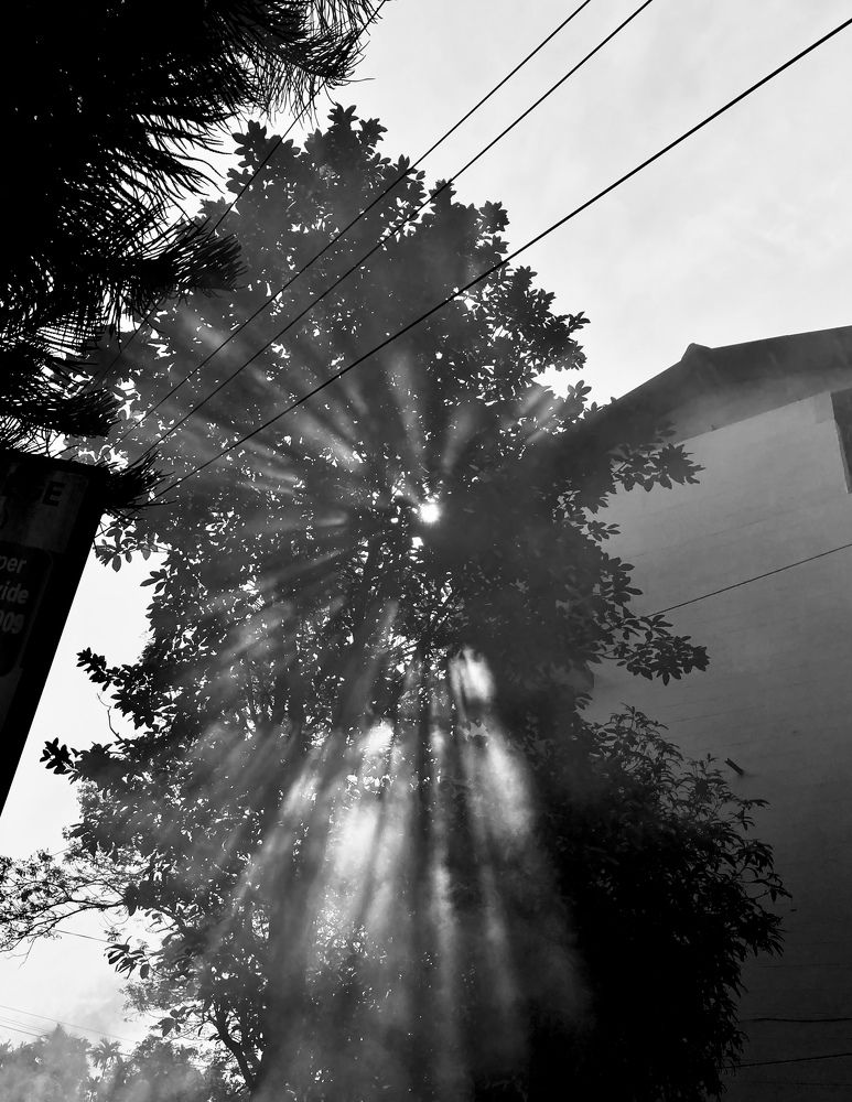 Photograph by Parnava Das