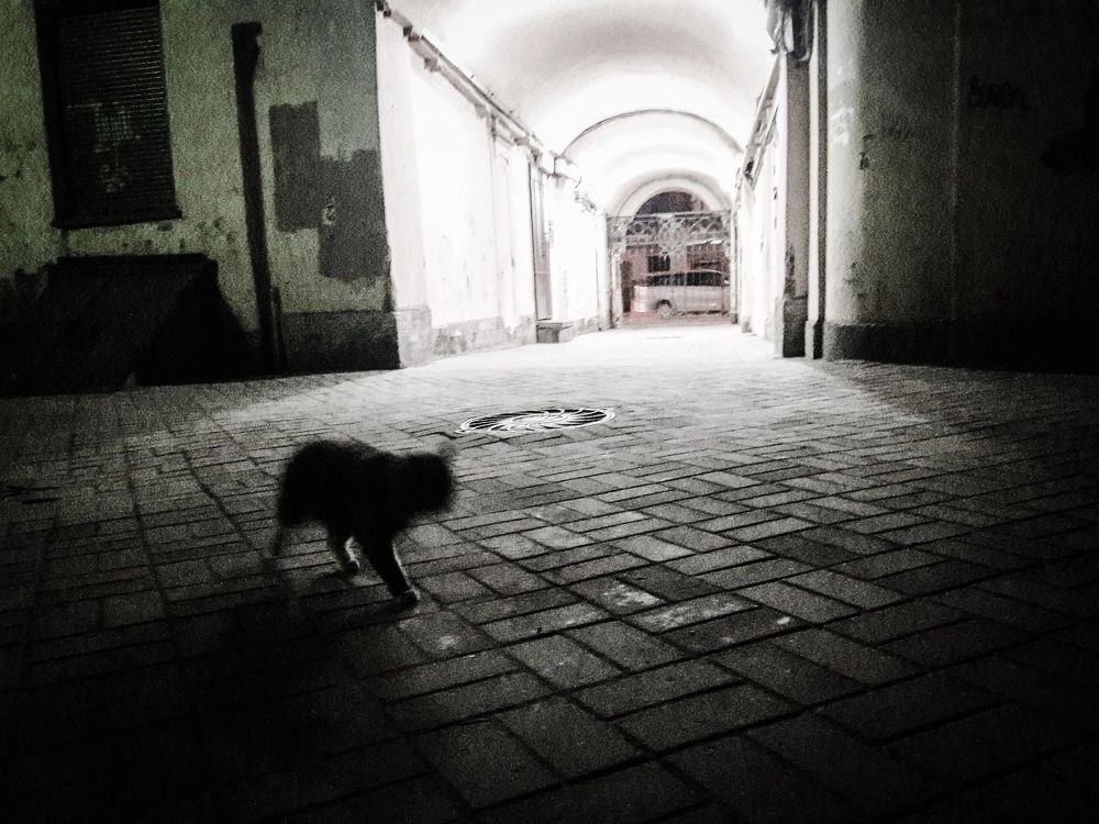 Photograph by Надежда Сидорова