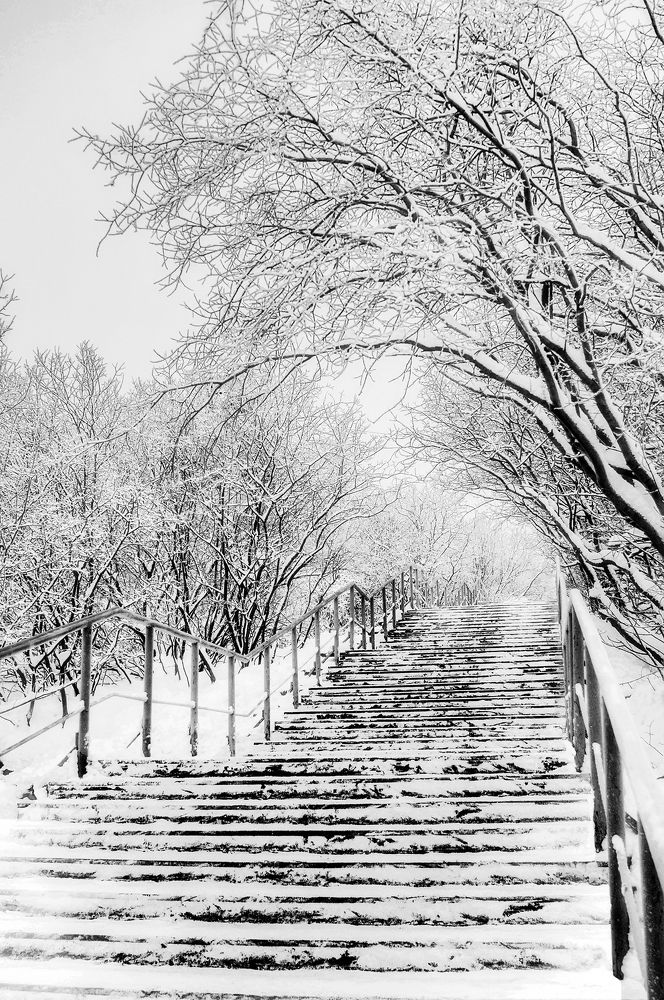 Photograph by Елена Коваленко