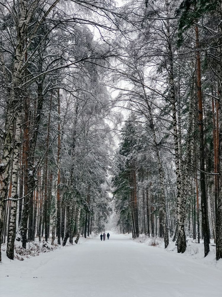 Photograph by Наталия Курнева