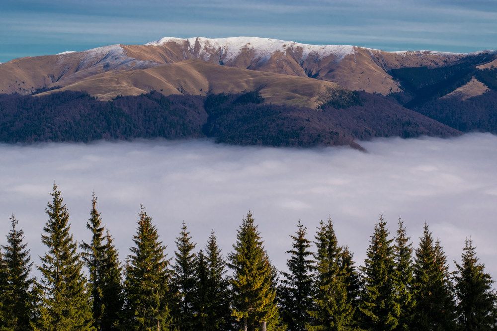 Photograph by FLORINDA LOREDANA CIURARU