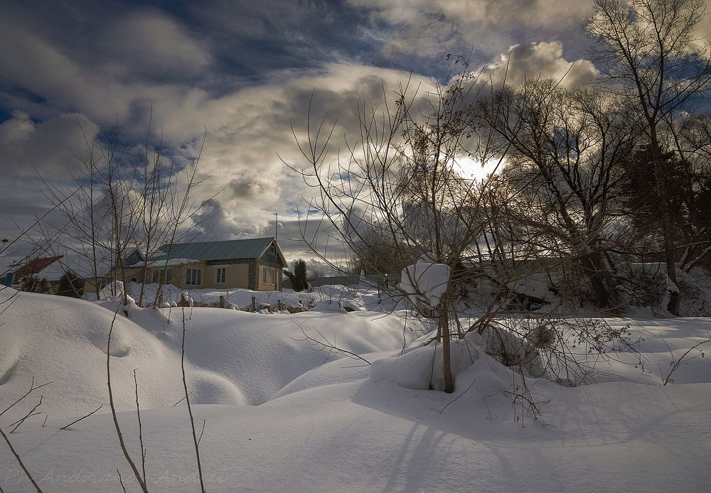 Photograph by Андрианов Андрей