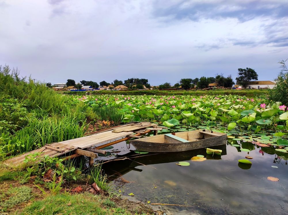 Photograph by Надежда Батракова