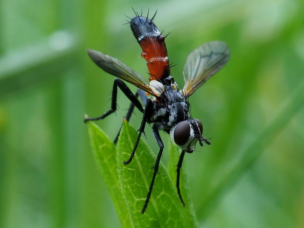 Photograph by Елена Харитонова