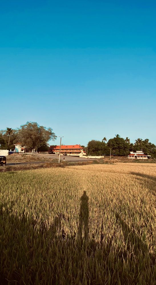 Photograph by Rahul Puthoor