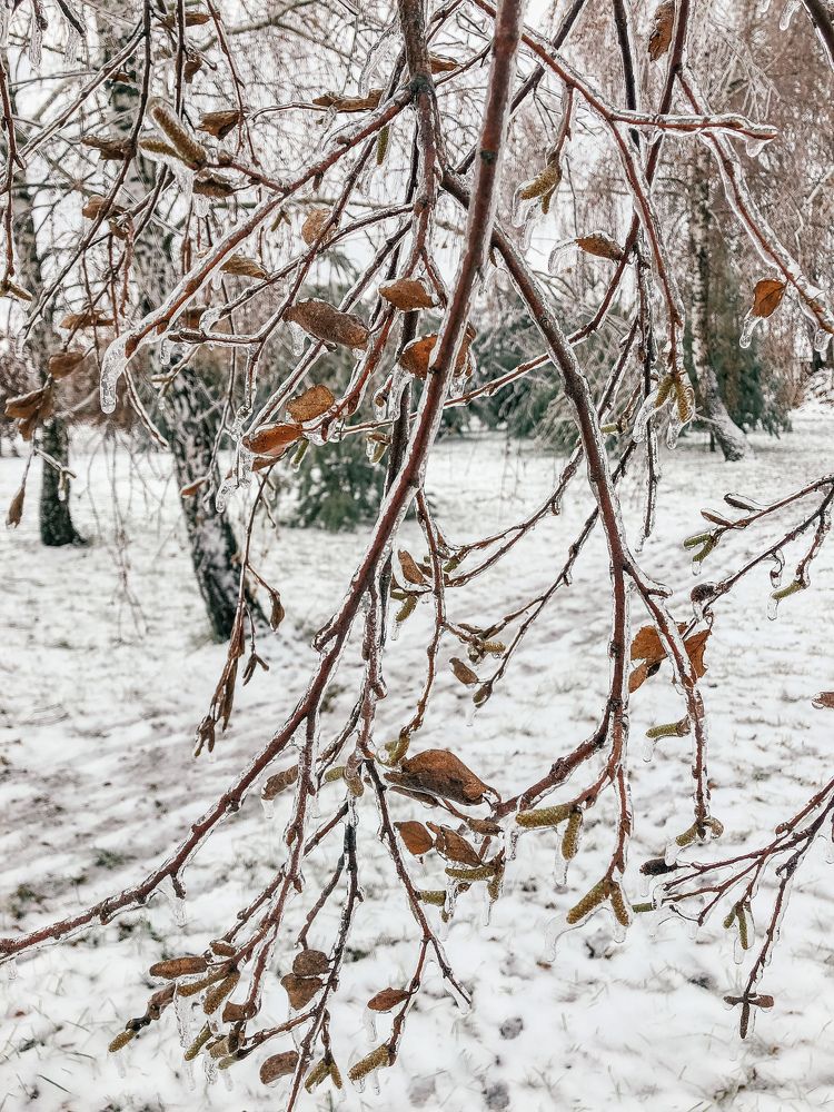 Photograph by Елена Твардовськая