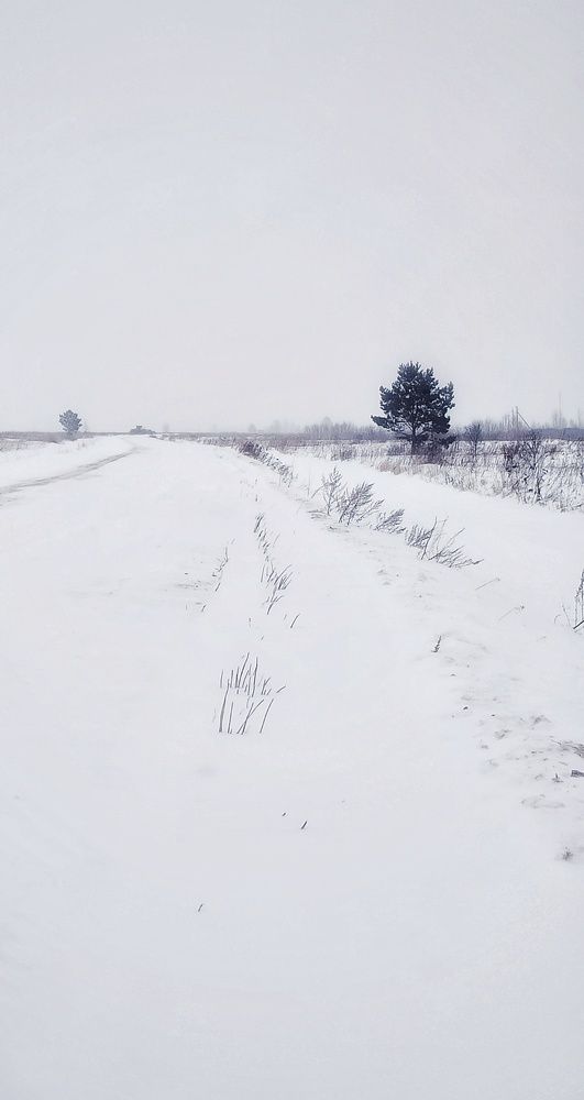 Photograph by Евгения Акишева