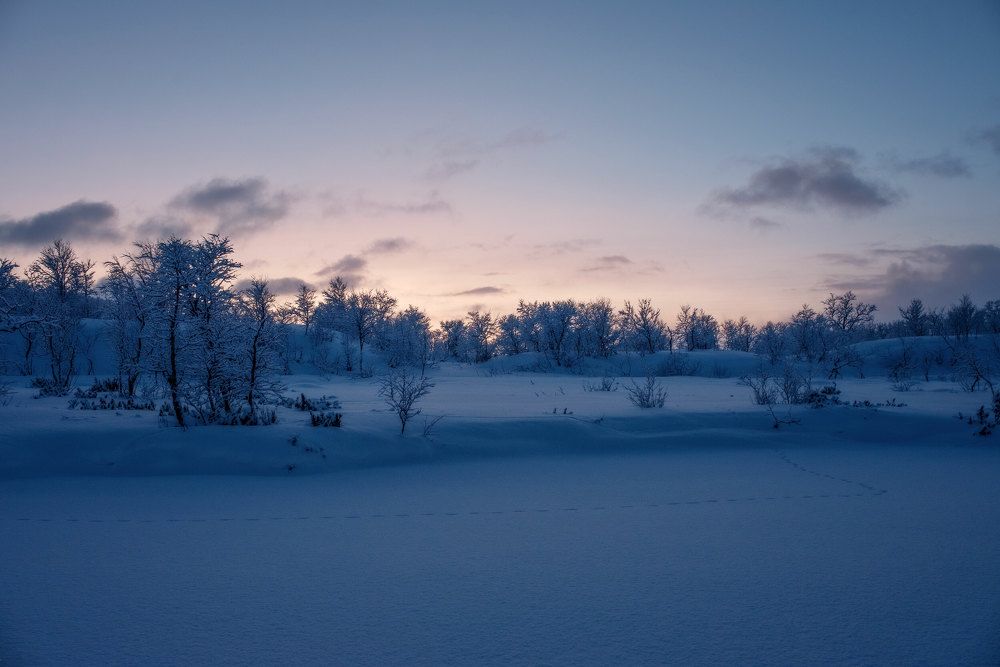 Photograph by Марина Зборацкая