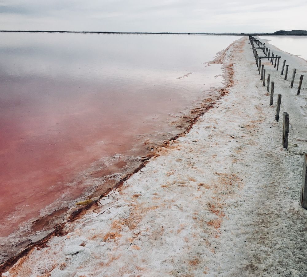 Сасык-Сиваш