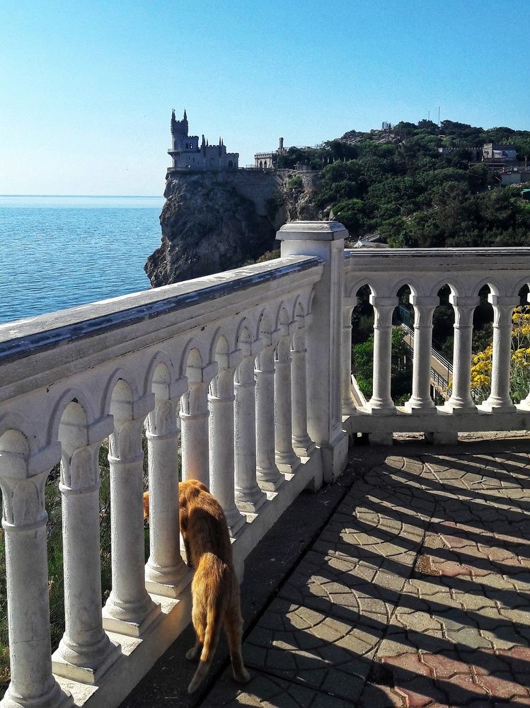 Photograph by Надежда Сидорова