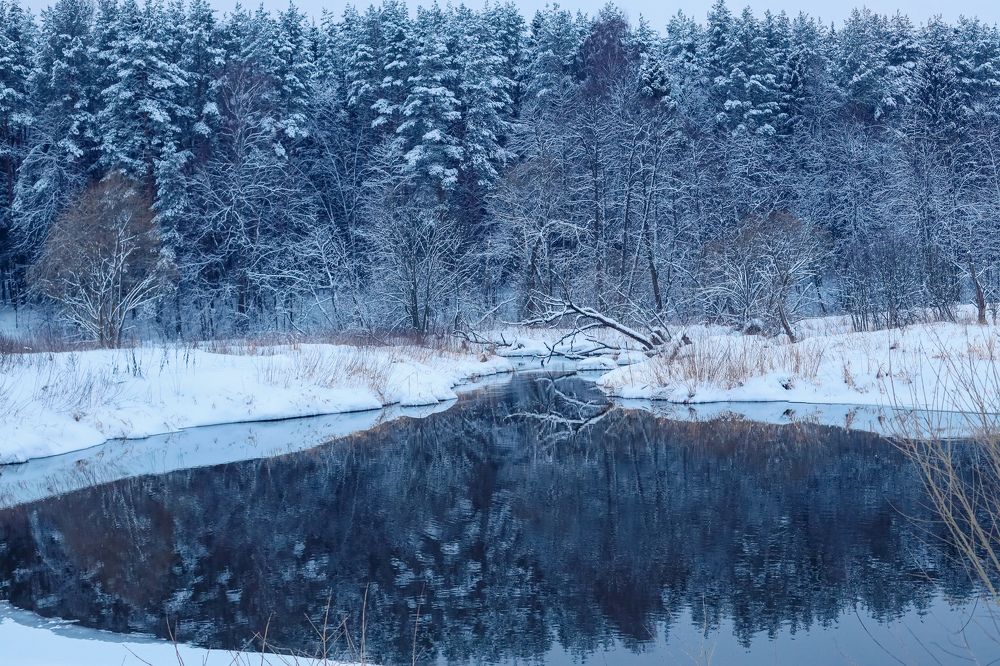 Photograph by Елена Маршавина