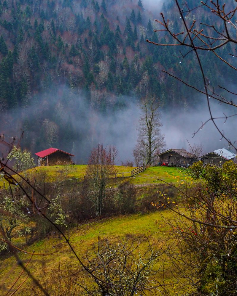 fog over the village in the morning