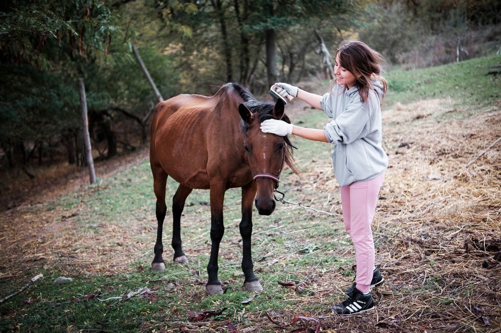 Photograph by Sergey Shulga