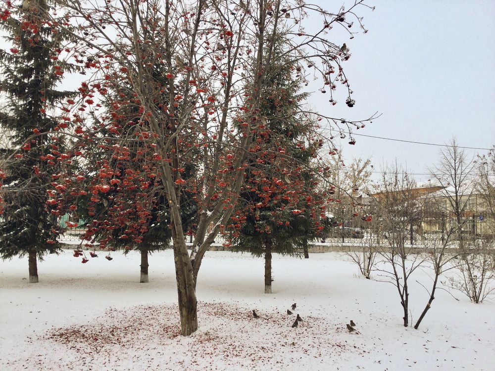 Photograph by Андрей Букин