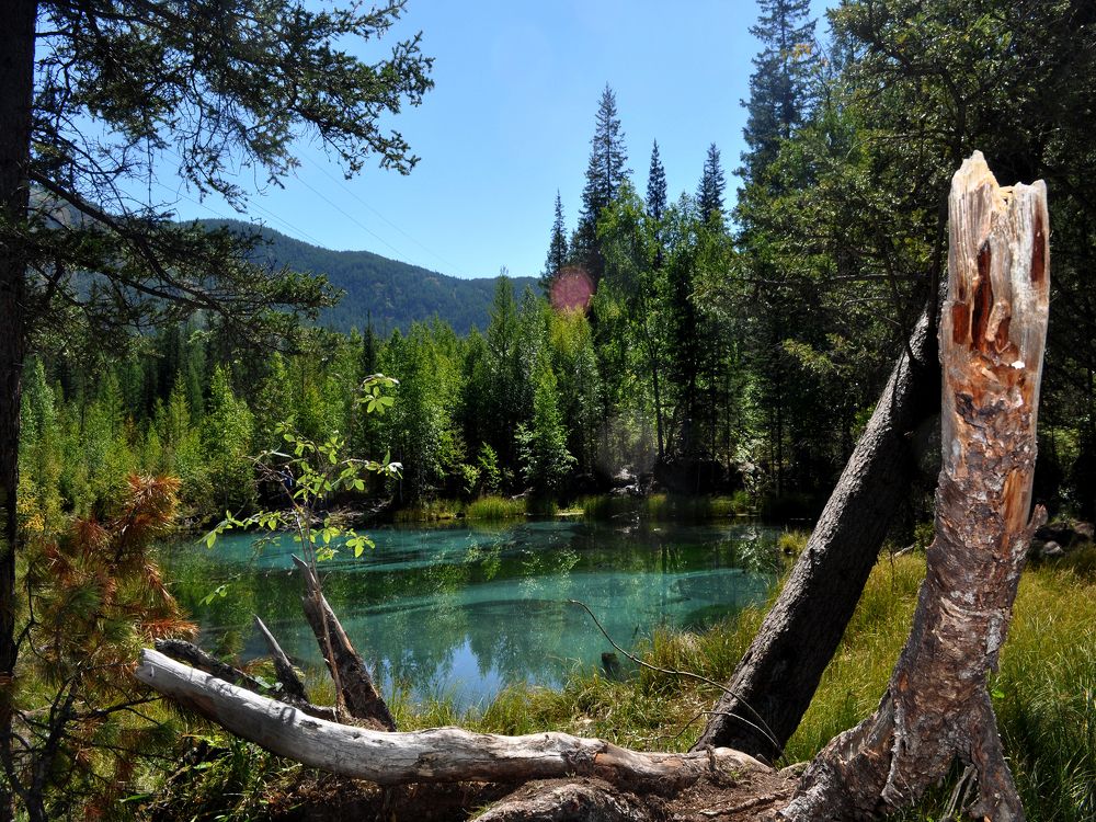 Photograph by Хвостов владимир Владимирович