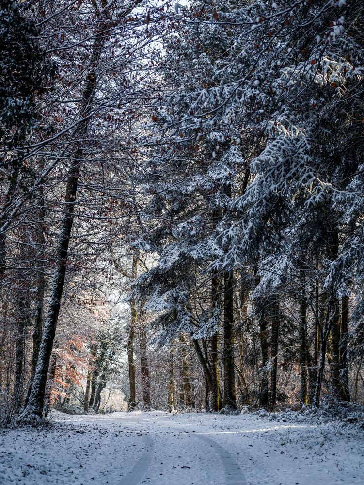 Photograph by Оксана Хабарова