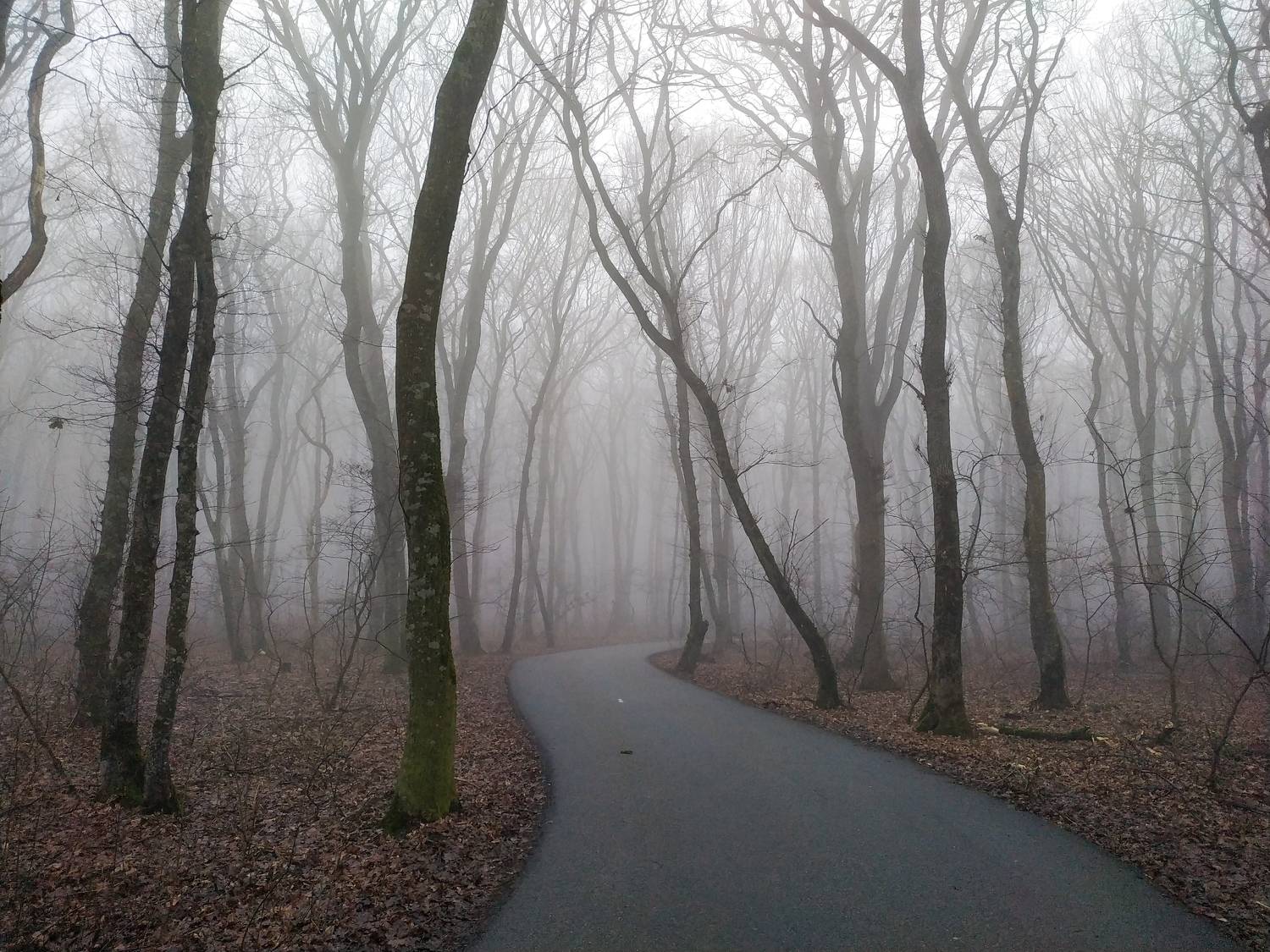 Photo #8591480