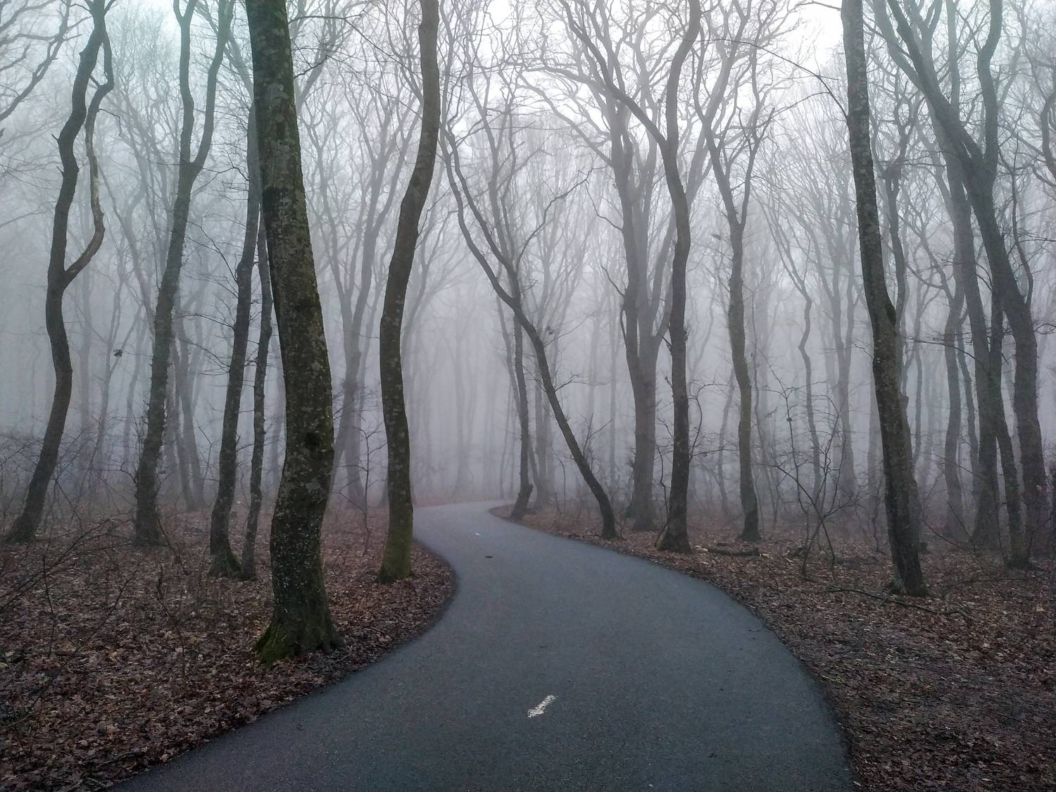 Photo #8591482