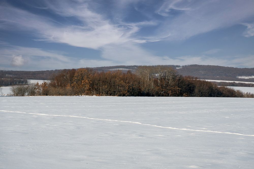 Photograph by Олег Волков