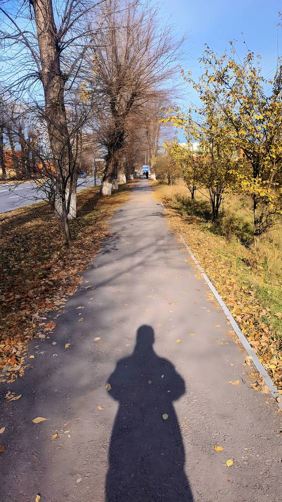 Photograph by Adam Yandiev