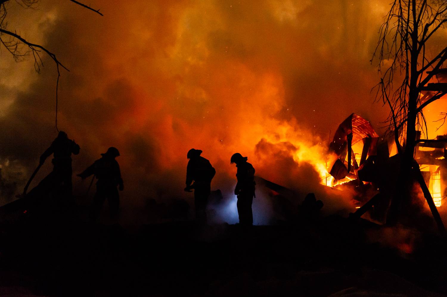 Фотография #8591587