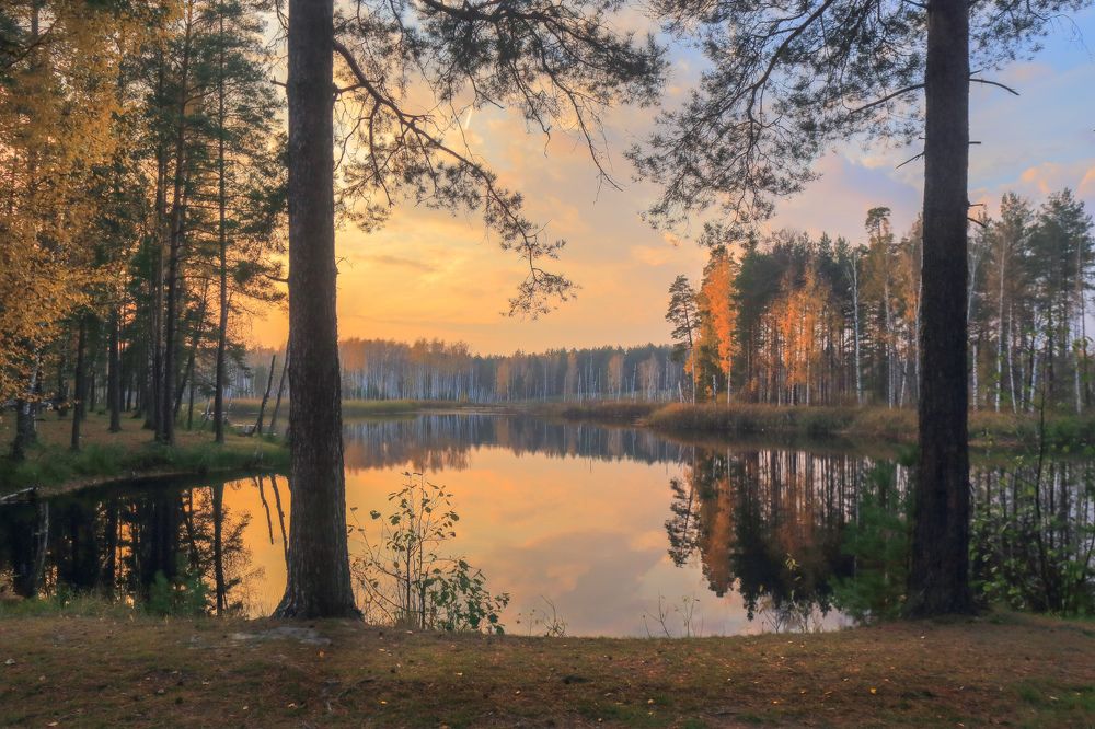 Photograph by Дмитрий Алексеев