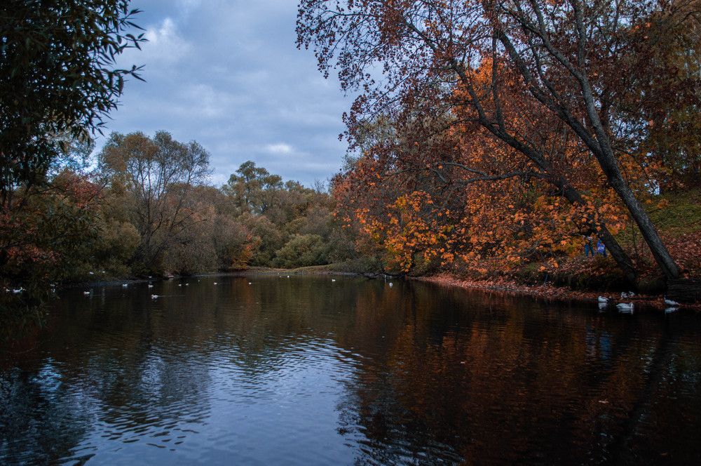 Photograph by Ангелина Ларина