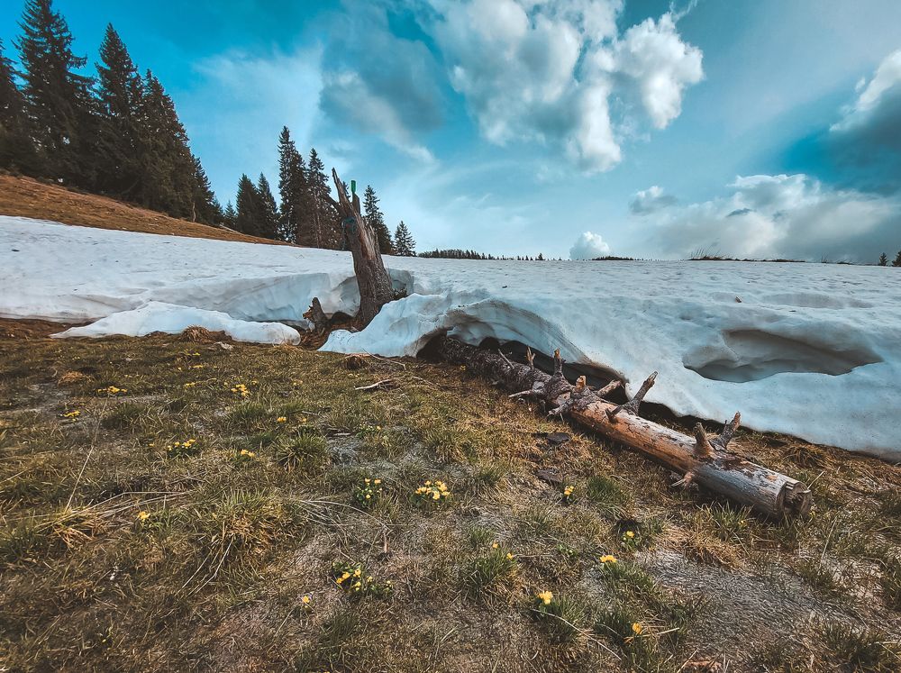 Photograph by Borsi Balázs