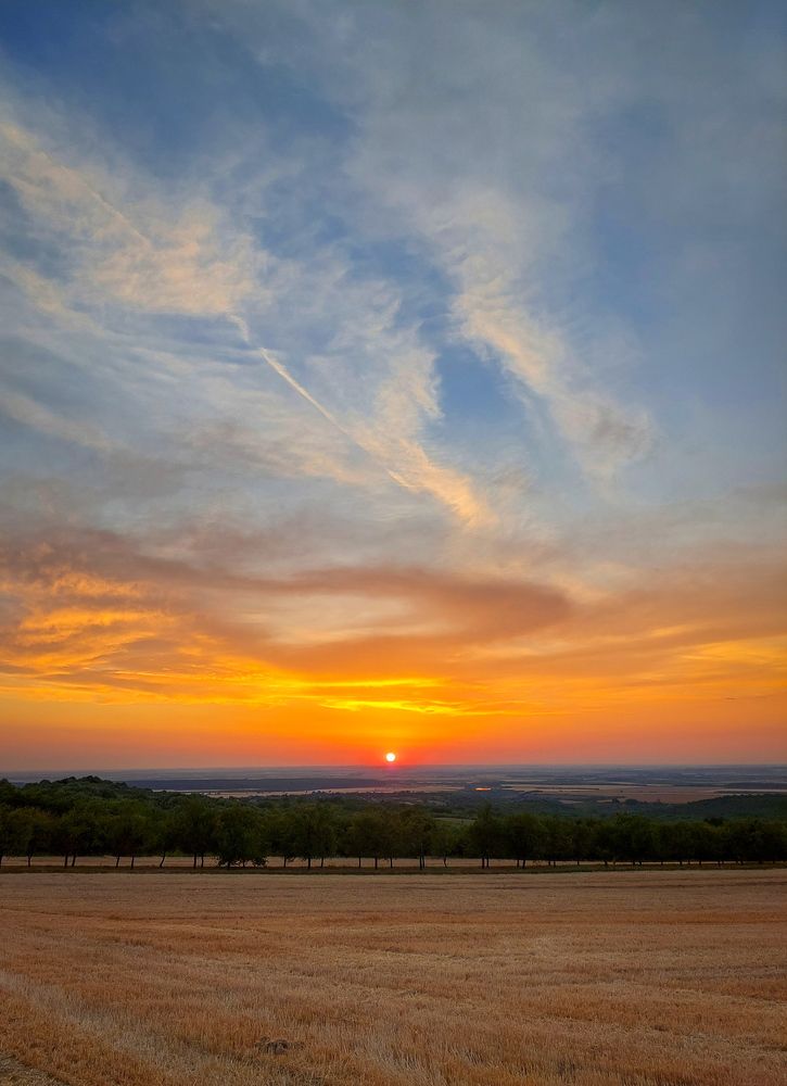 Photograph by Borsi Balázs