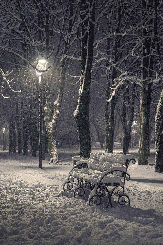 Photograph by Стариков Алексей (AlexOldmanPhoto)