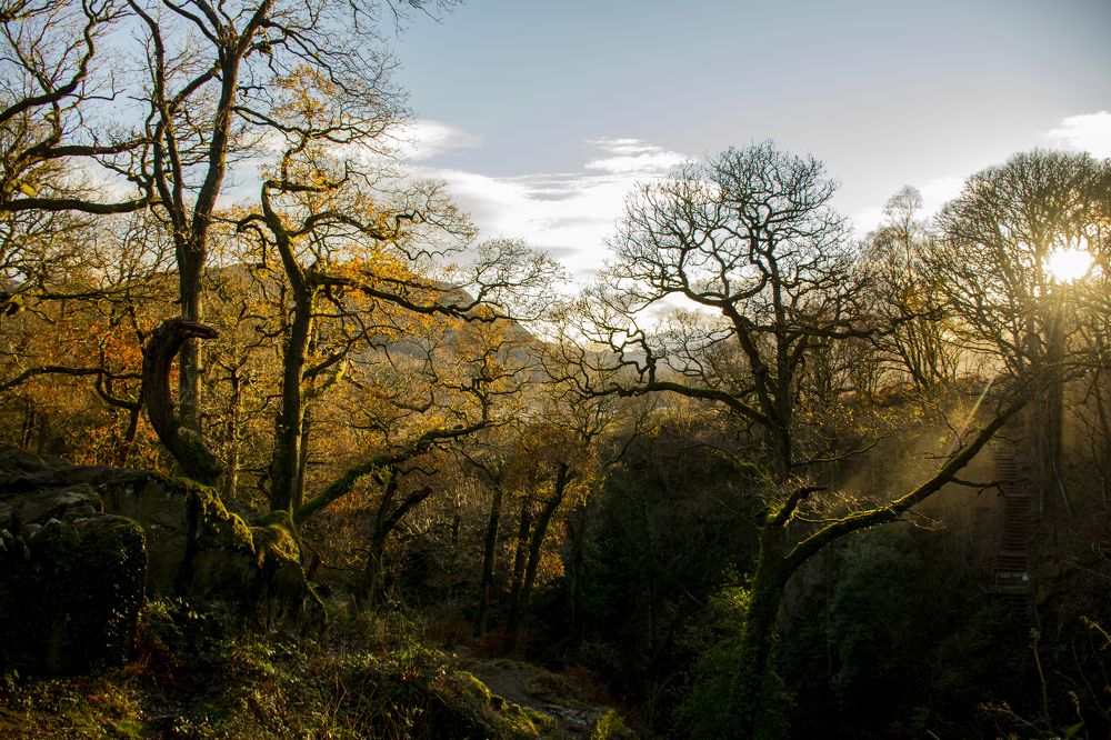 Photograph by Shahabedin Zeini Aslani,