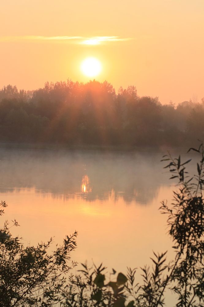 Photograph by Елена Петелина