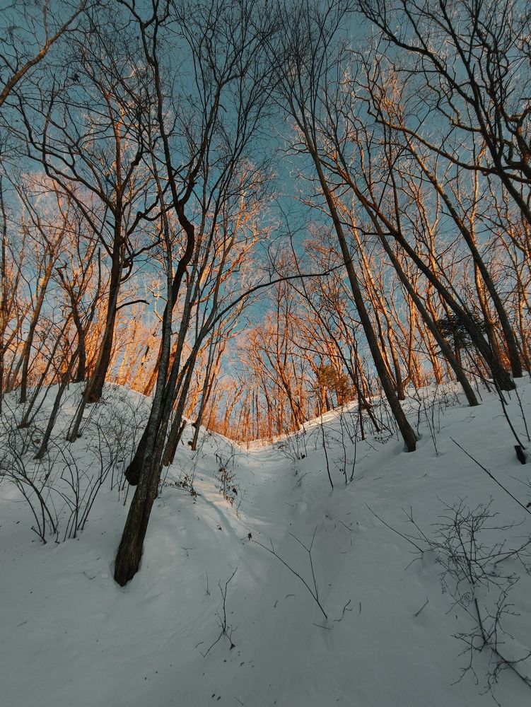 Photograph by Валентина Куцерук