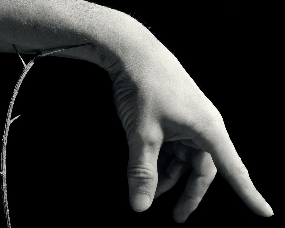 Photograph by Aliaksei Shandalin