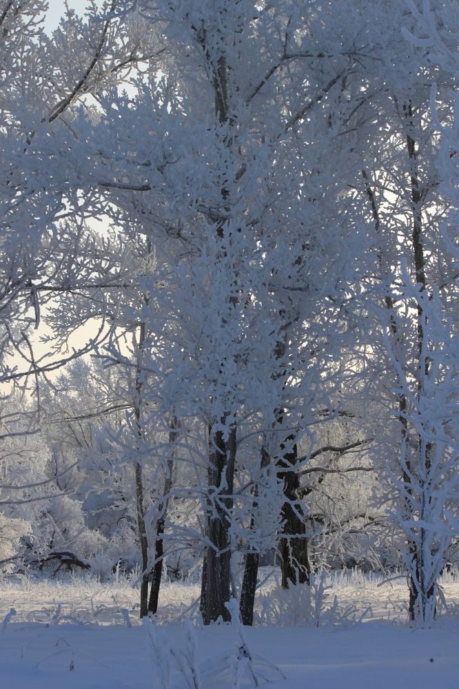 Photograph by Елена Петелина