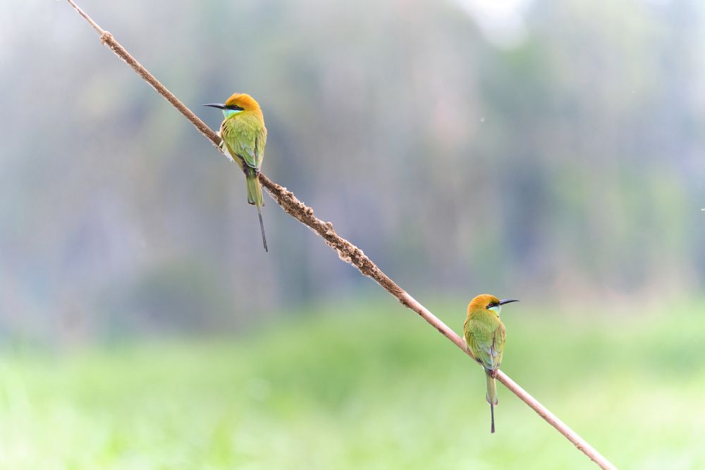 Photograph by Vijay Krishna