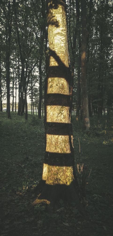 Photograph by Наталья Клячина