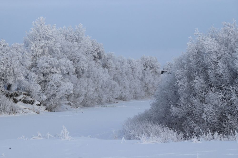 Photograph by Елена Петелина