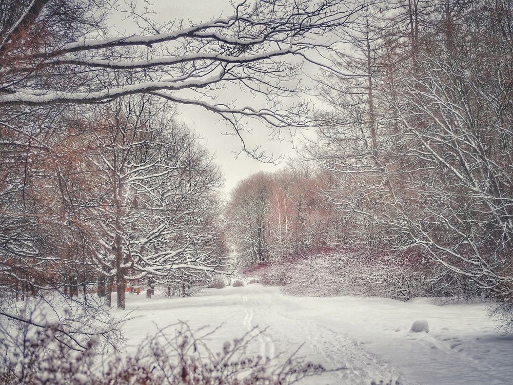 Photograph by Наталия Романова
