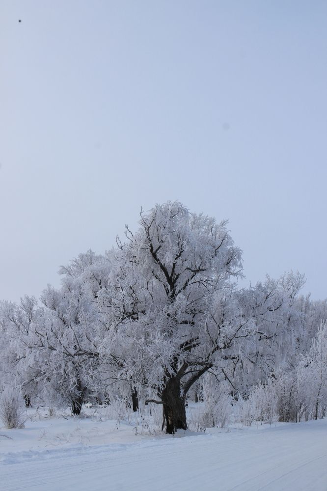 Photograph by Елена Петелина