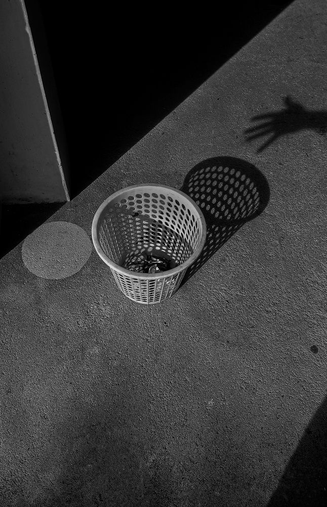 Photograph by Laddu Sasindu Pramuditha De Silva