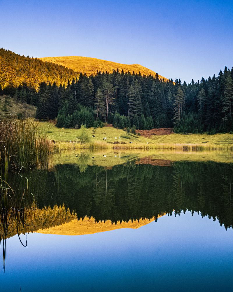 Фотография автора NECMETTİN SOBUTAY