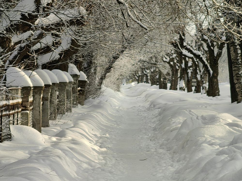 Photograph by Юрий Полушин